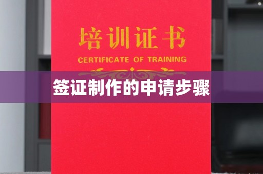 韶关签证制作的申请步骤