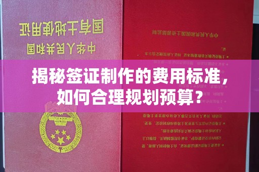 韶关揭秘签证制作的费用标准，如何合理规划预算？