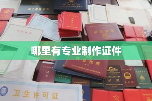 韶关哪里有专业制作证件