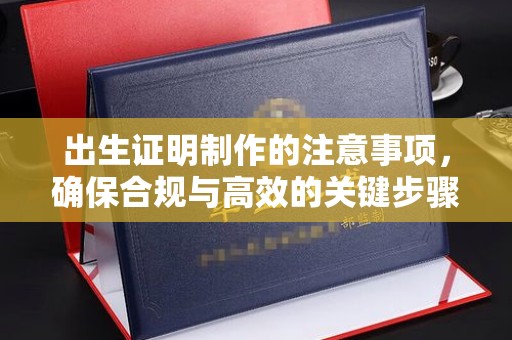韶关出生证明制作的注意事项，确保合规与高效的关键步骤