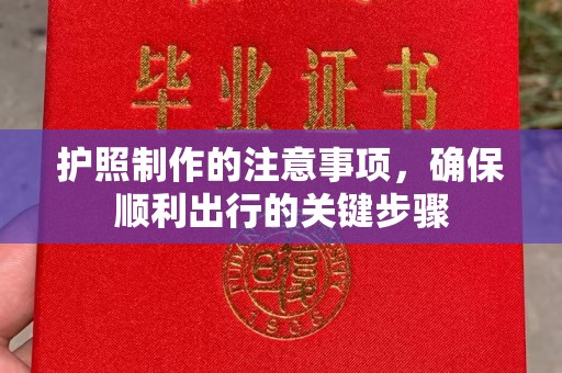 韶关护照制作的注意事项，确保顺利出行的关键步骤