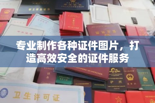 韶关专业制作各种证件图片，打造高效安全的证件服务
