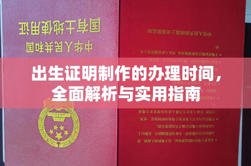 韶关出生证明制作的办理时间，全面解析与实用指南