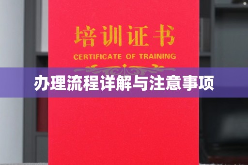 韶关办理流程详解与注意事项